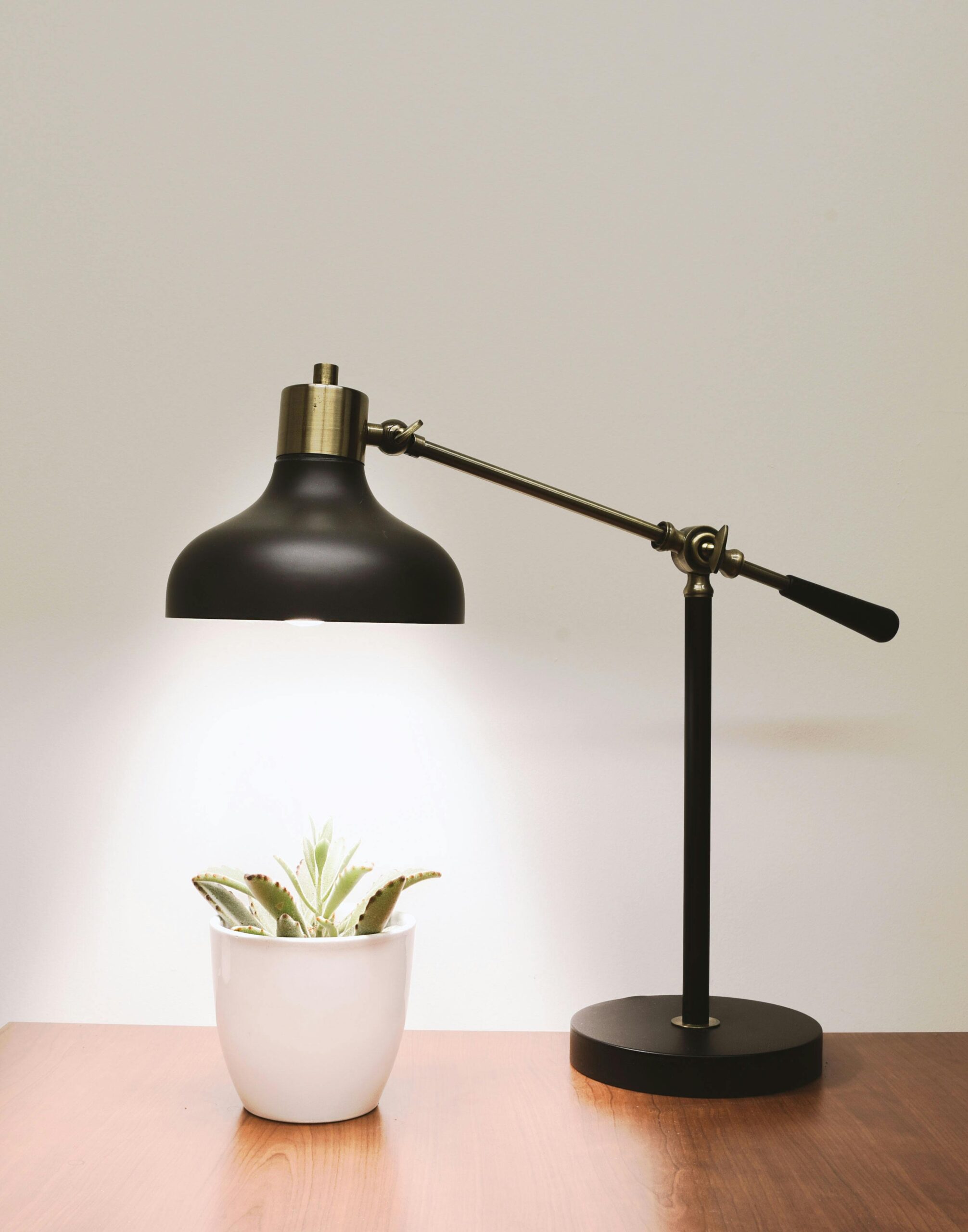 Minimalistic desk lamp illuminating a succulent on a wooden table, perfect for interior design inspiration.